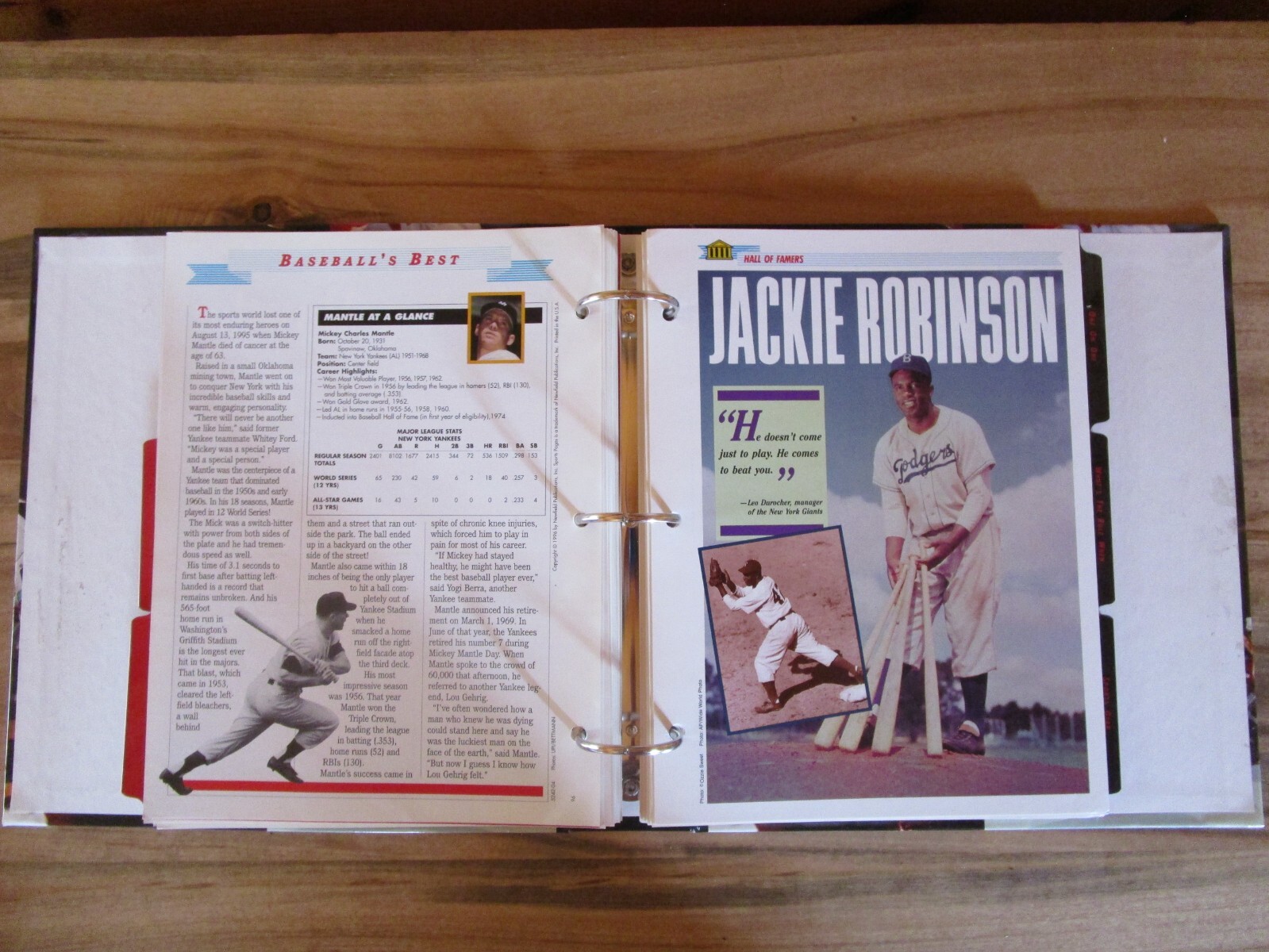 Sports Pages The Book for Fans 1996 Newfield, Binder, 10 Divider Tabs, 50 Pages