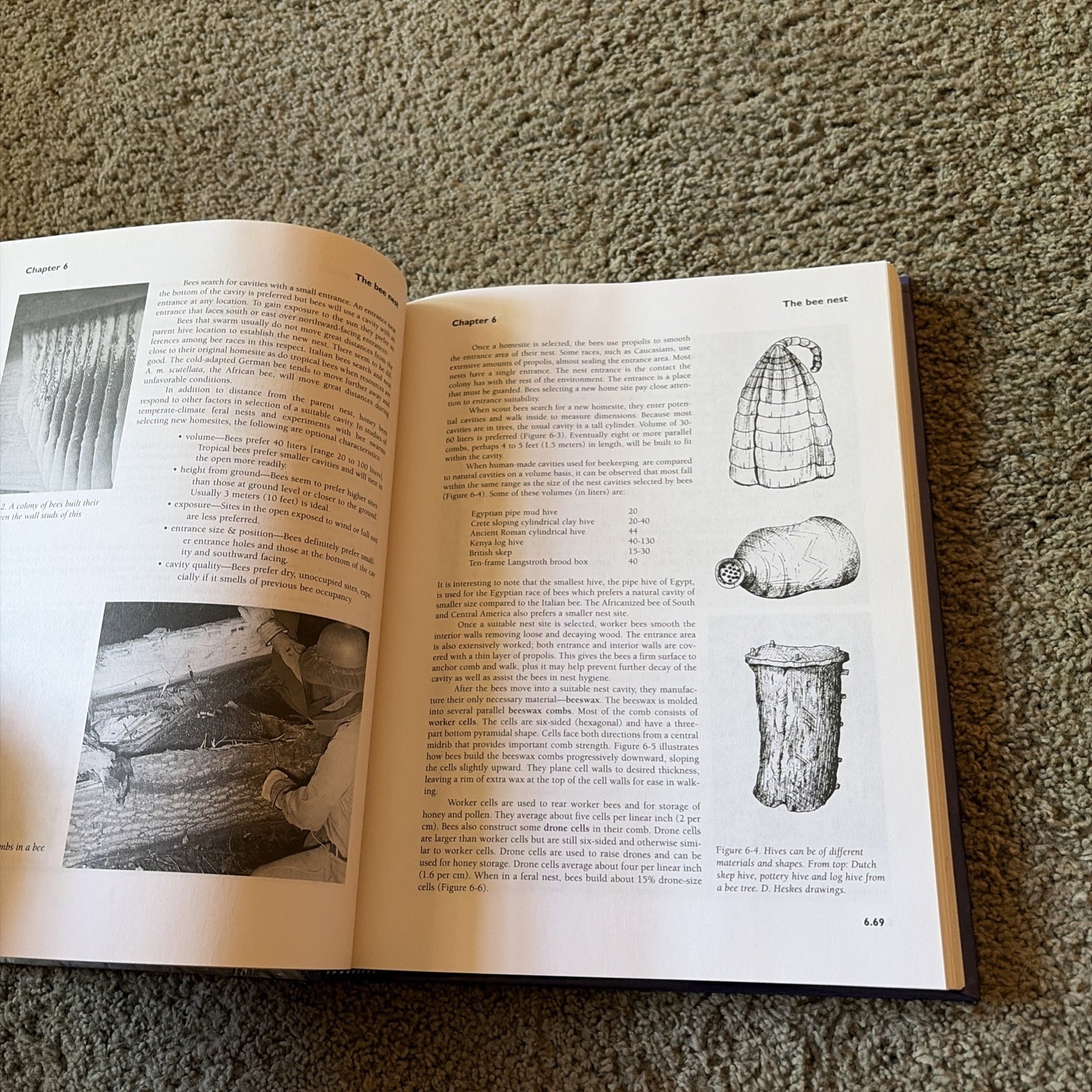 Honey Bee Biology and Beekeeping by Dewey M. Caron (2006 Hardcover)