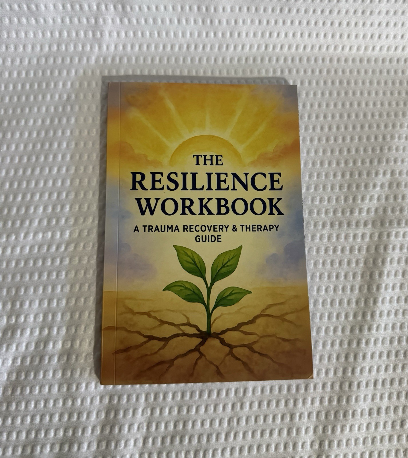 The Resilience Workbook A Trauma Recovery And Therapy Guide 132 Pages