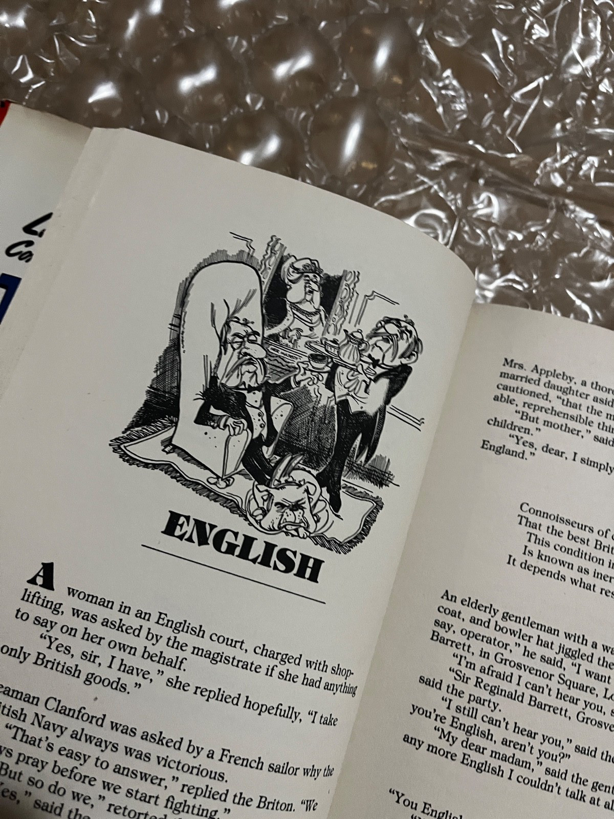 Complete Book of Ethnic Humor Larry Wilde Hardcover Vintage Adult Jokes Comedy