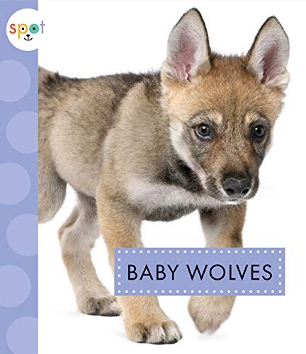 Amicus Ink 43243 Baby Wolves Spot
