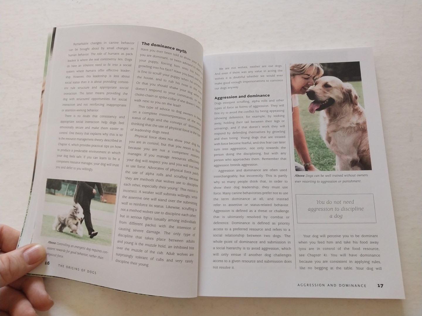 Bad Dog to Good Dog : A New Approach to Dog Psychology and Training by Quixi…