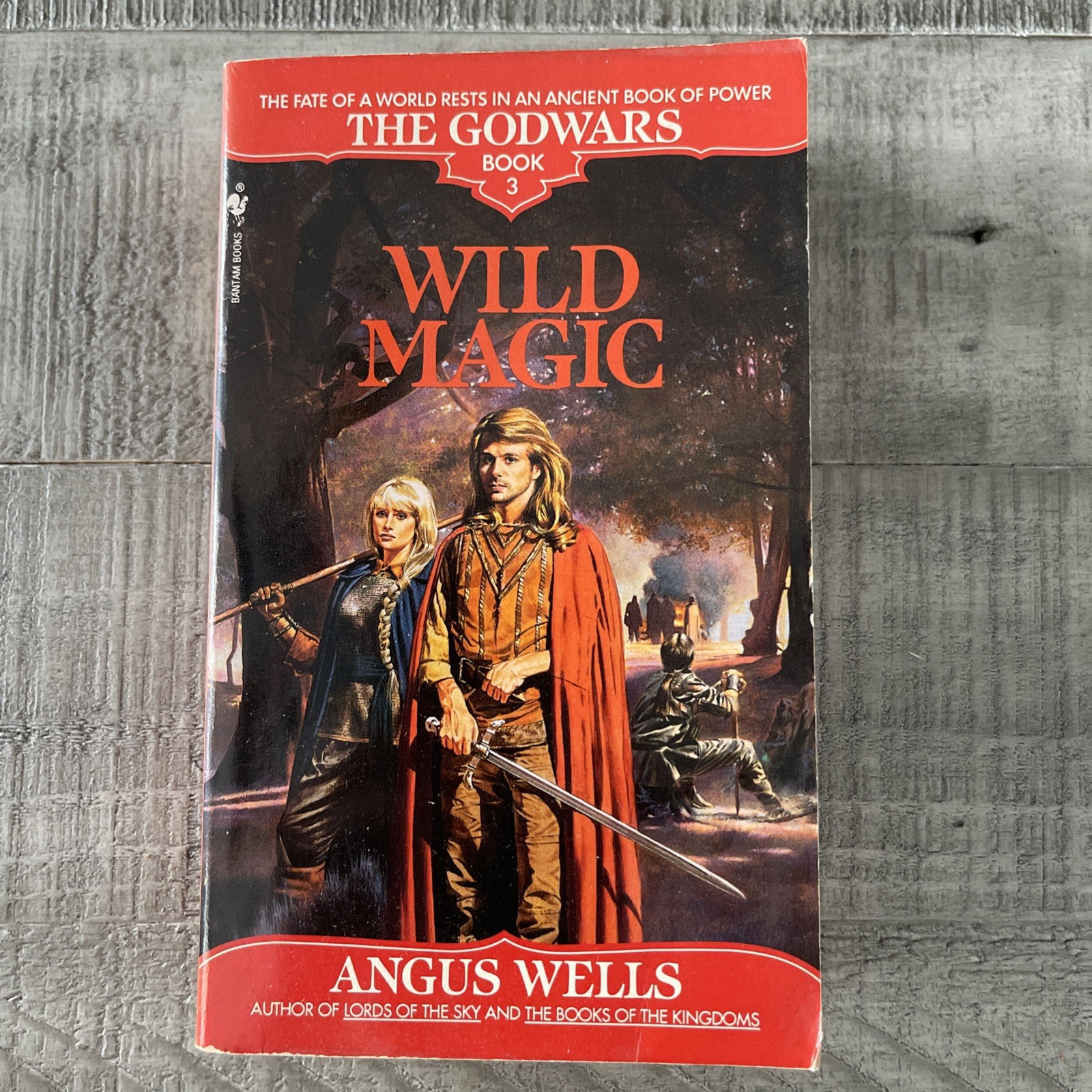 The GODWARS Trilogy Forbidden Magic Dark Magic Wild Magic Wells 1992 Lot /3 PB
