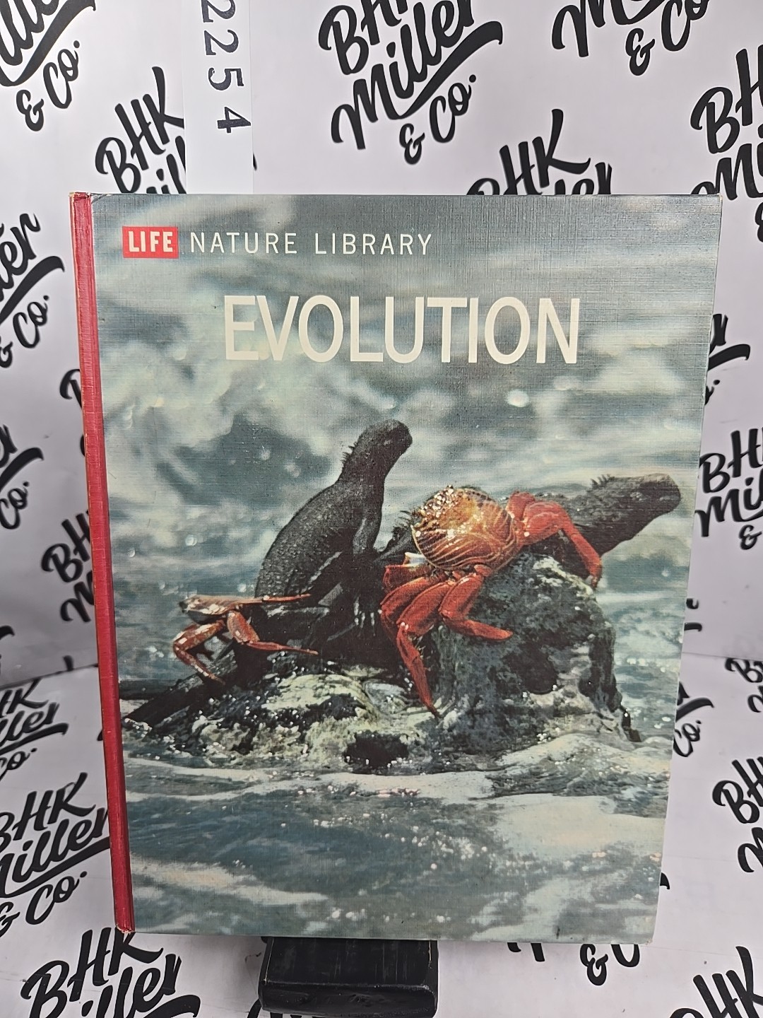 Life Nature Library EVOLUTION 1964 192 PAGES 11 x 8.5 INCHES
