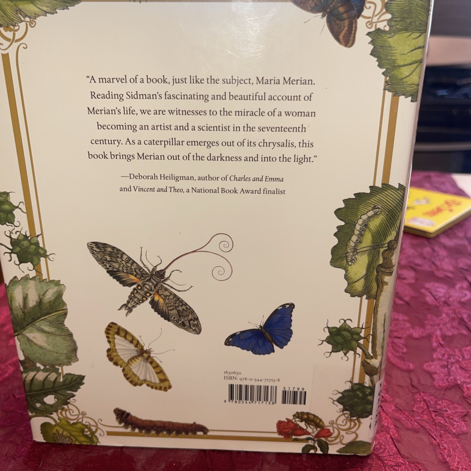 Girl Who Drew Butterflies : How Maria Merian’s Art Changed Science by Sidman