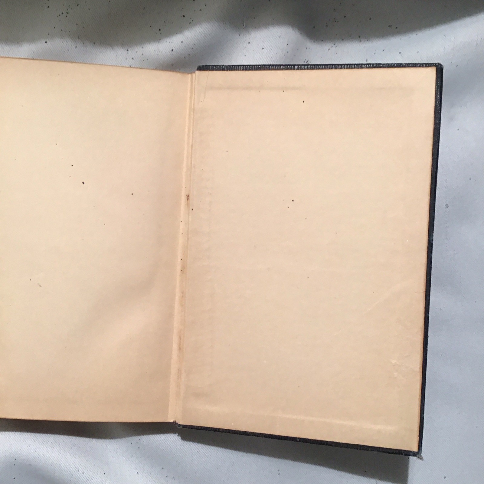 1904 Works of Edgar Allan Poe in Ten Vol, Commemorative Ed. No I and III vol.