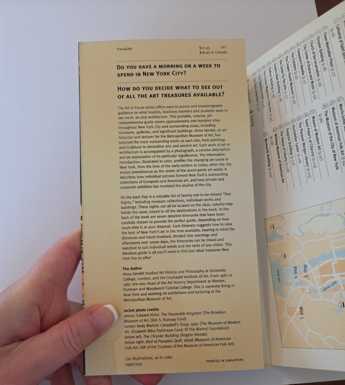 New York (Art in Focus) by Anna Gendel 1995 Bulfinch Press Art Travel Guide)