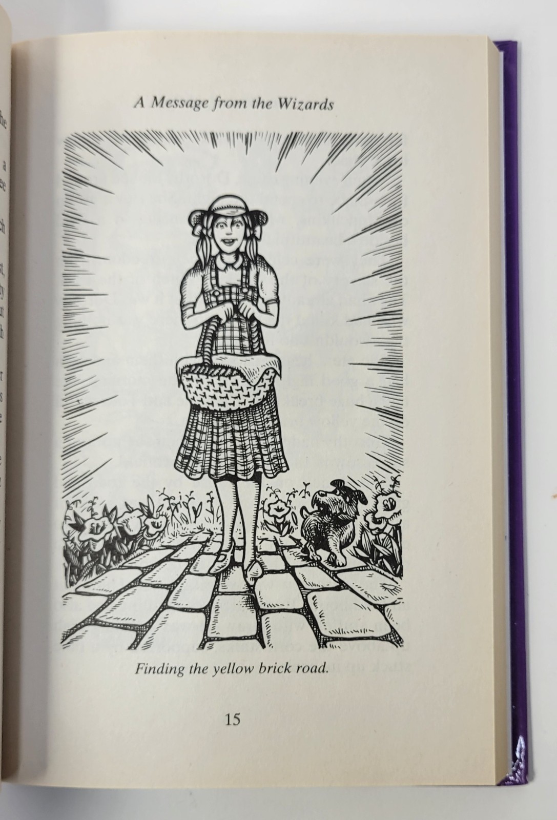 The Wizard of Oz – LF. Baum – Illustrated By Andrew Hopgood 2008 (Hardcover)