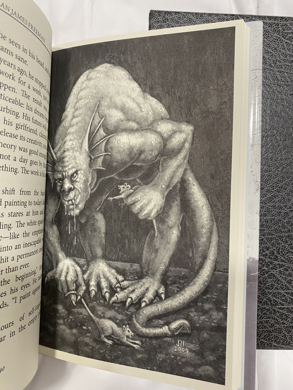 The Painted Darkness by Brian Freeman, SIGNED Limited Edition, HCDJ in Slipcase