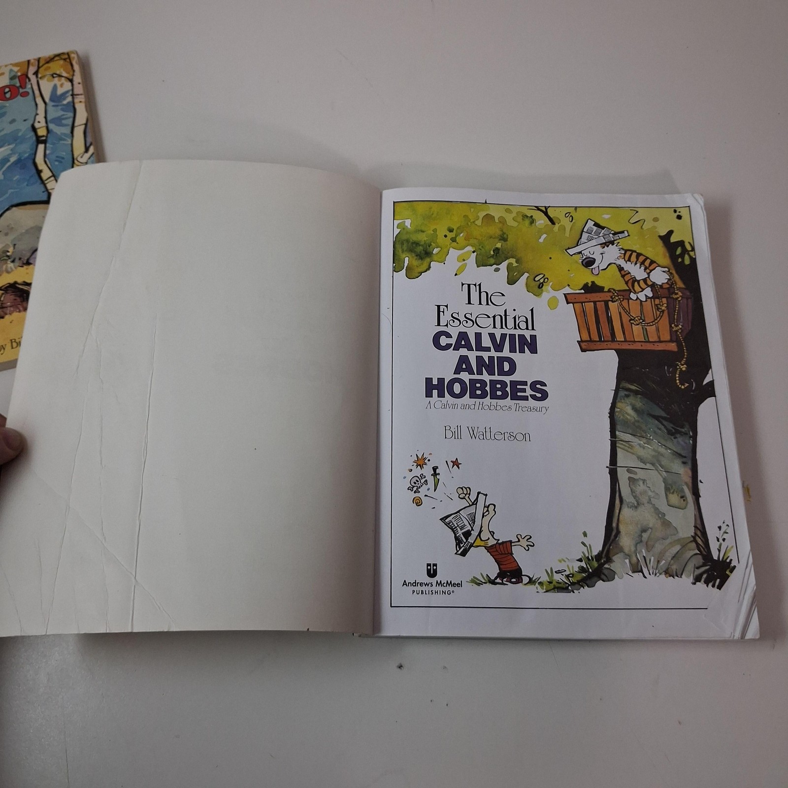 Calvin And Hobbes Books Lot 2 Yukon Ho Essential PB Bill Watterson Comics Humor