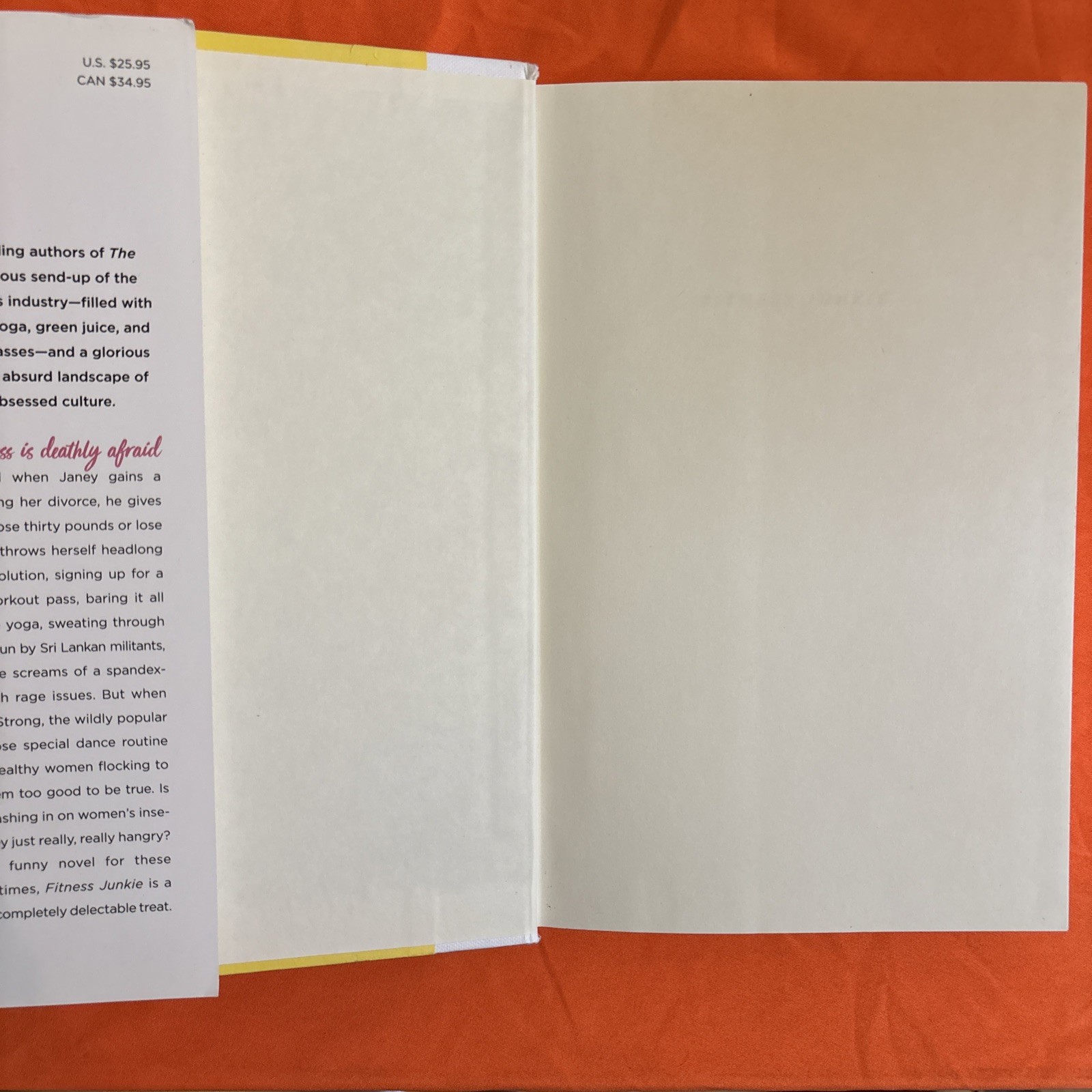 Fitness Junkie : A Novel by Lucy Sykes and Jo Piazza (First Edition Hardcover)