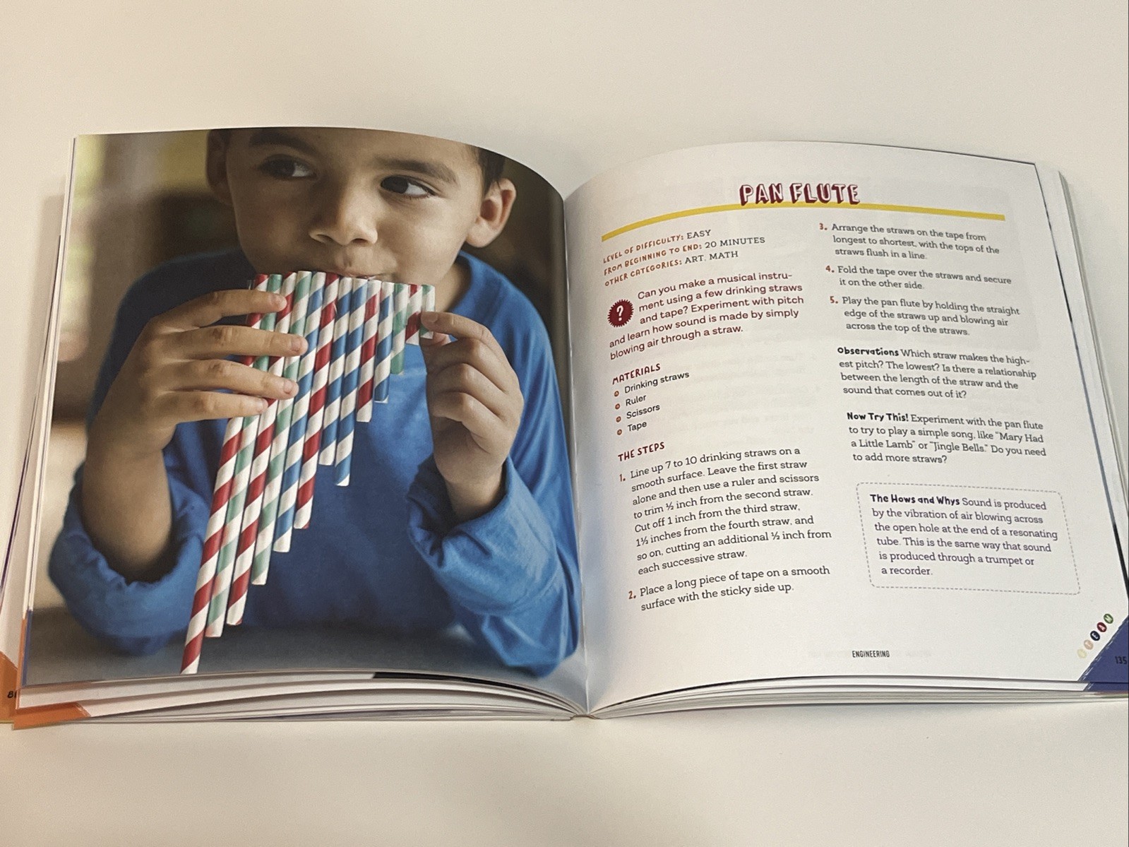 100+ Fun STEM / STEAM Projects and Why They Work by Crystal Chatterton Paperback