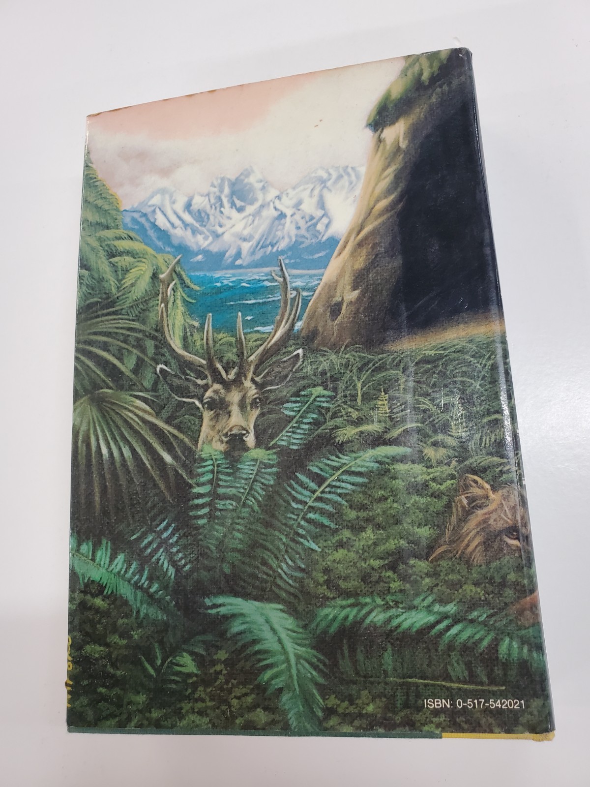 The Clan of the Cave Bear by Jean M Auer (1980, Crown) Vintage Hardcover