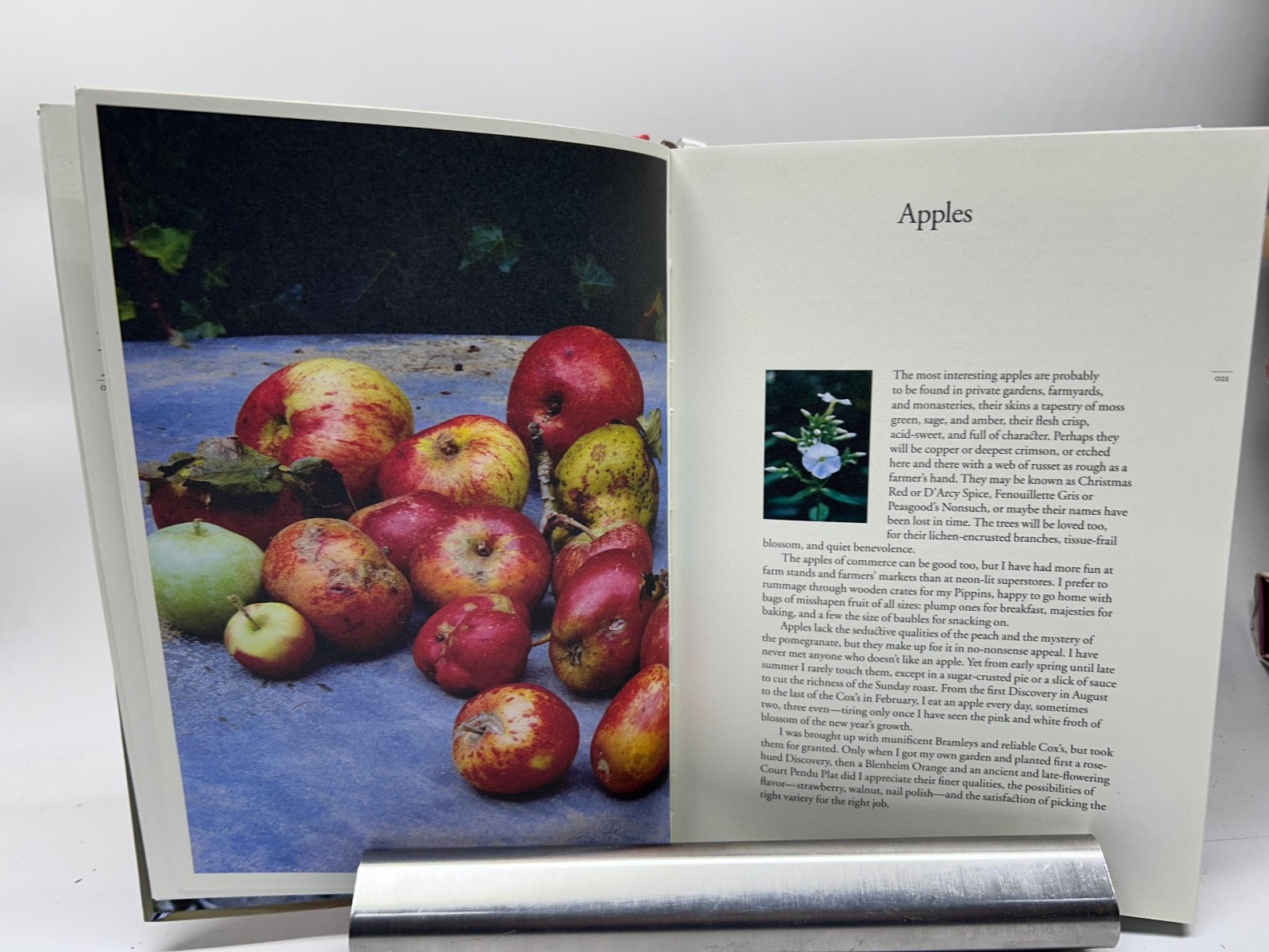 Slater: Ripe, Ten Speed Press 2010