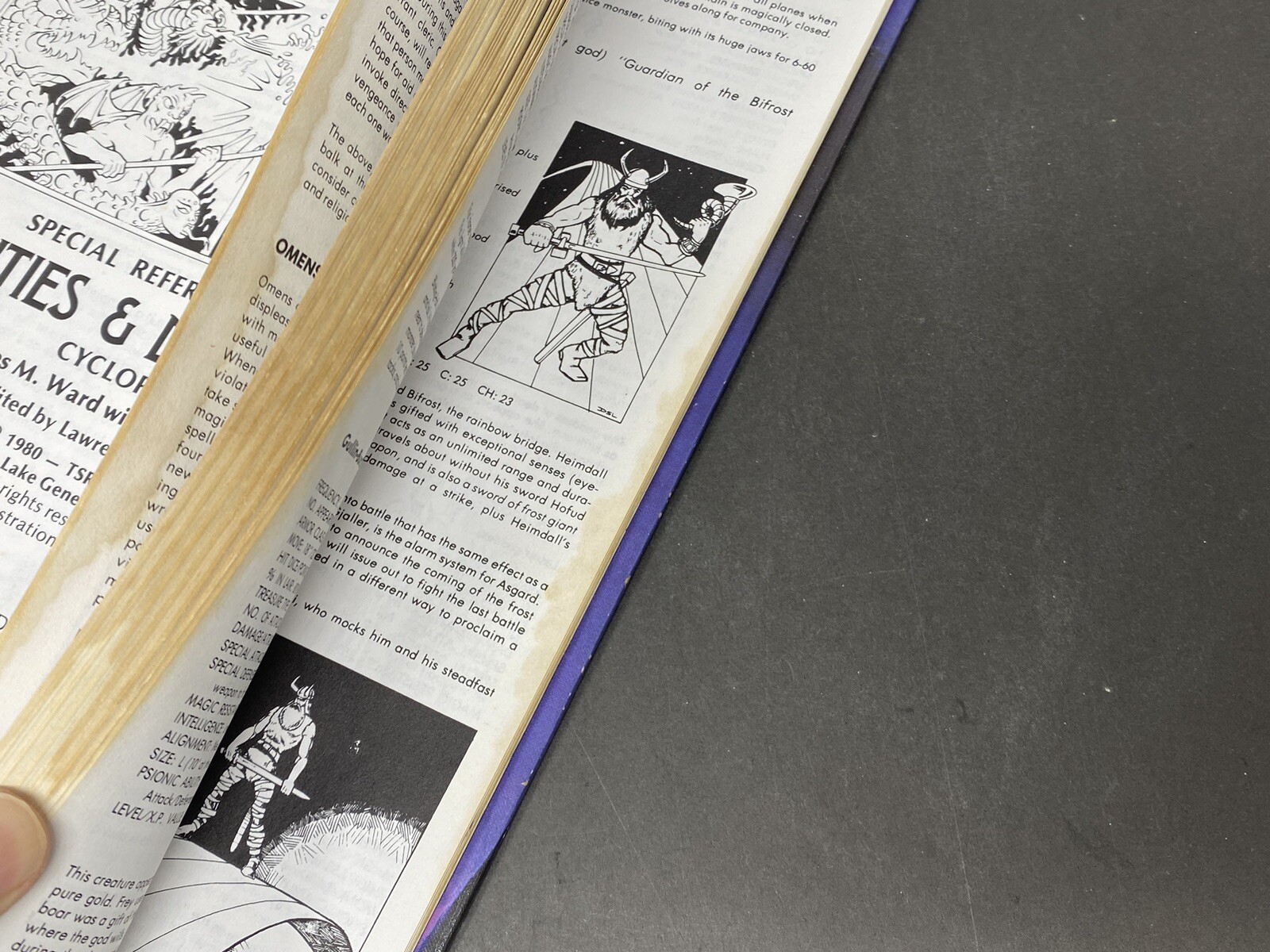 Rare! Advanced Dungeons & Dragons Deities & Demigods TSR 1980