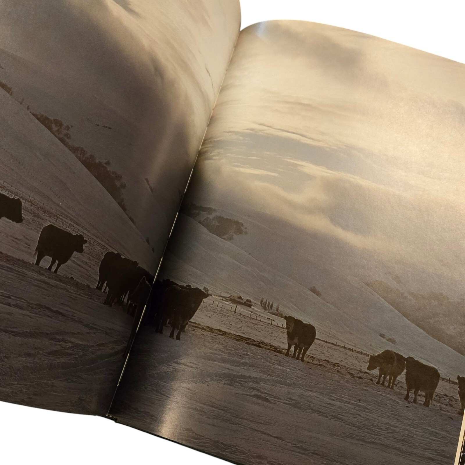 Washington II Hardcover Photography Book By Ray Atkeson Landscape Photos
