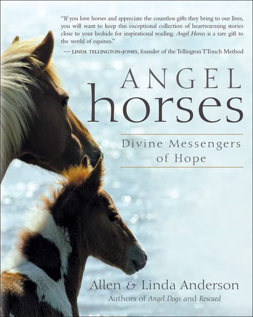 Angel Horses: Divine Messenger – GOOD