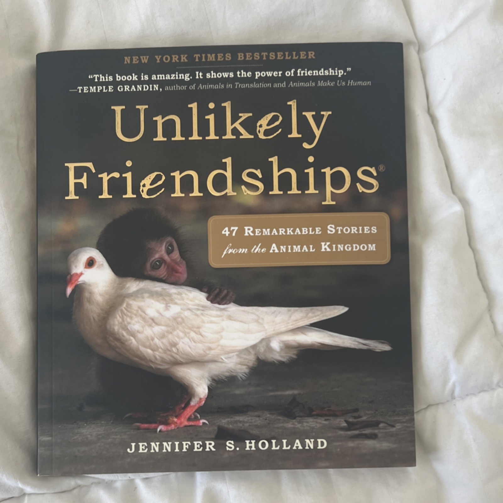 Unlikely Friendships by Jennifer S. Holland Paperback Nature Animals Illustrated