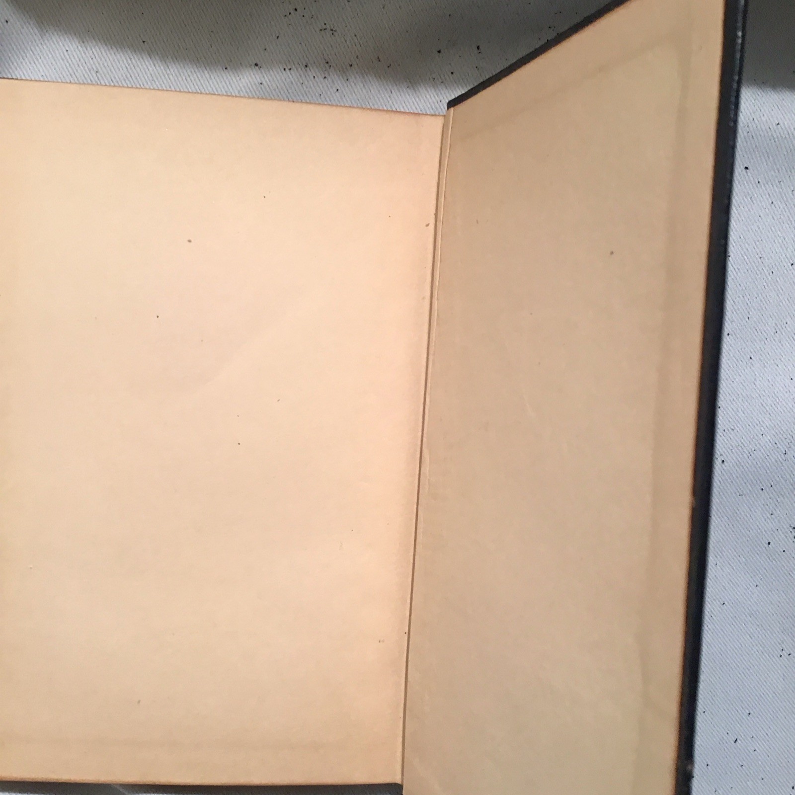 1904 Works of Edgar Allan Poe in Ten Vol, Commemorative Ed. No I and III vol.