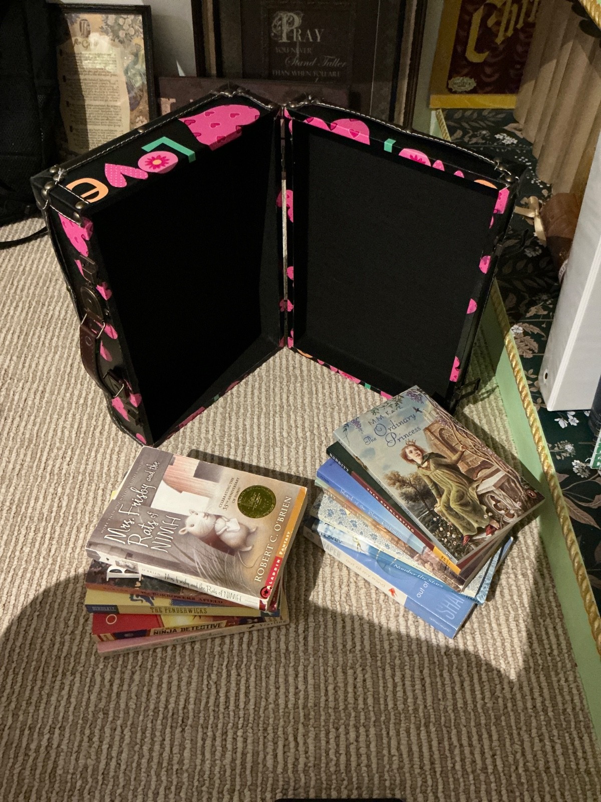 Suitcase LOT of Chapter Books GIRLS interest 12 Various Fiction Adventure—Good