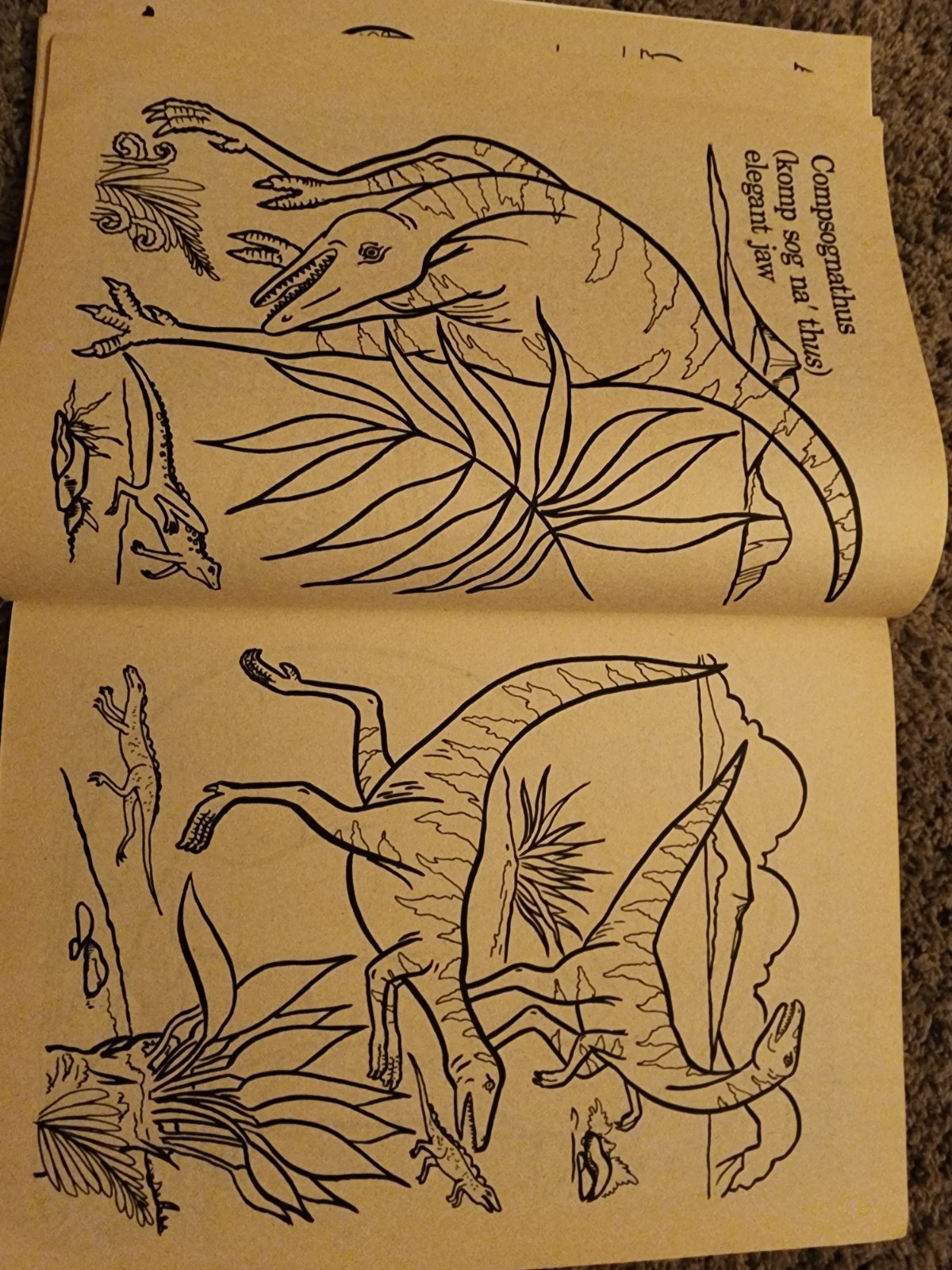 Vintage 1987 Golden Dinosaurs Giant Coloring Book 92 Pages Left Uncolored VTG
