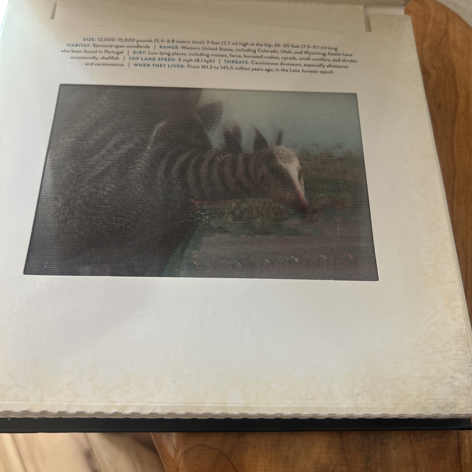 Dinosaur : A Photicular Book by Kathy Wollard and Dan Kainen (2018, Hardcover)