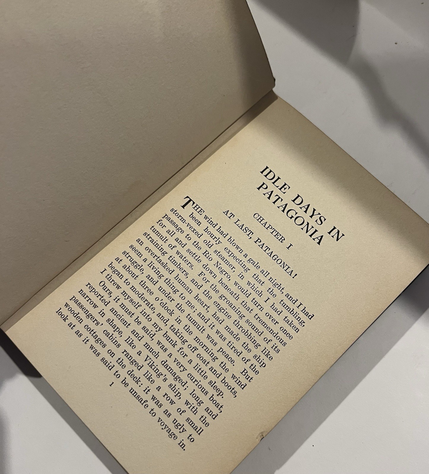 Idle Days in Patagonia W.H. Hudson 1917 hardcover book