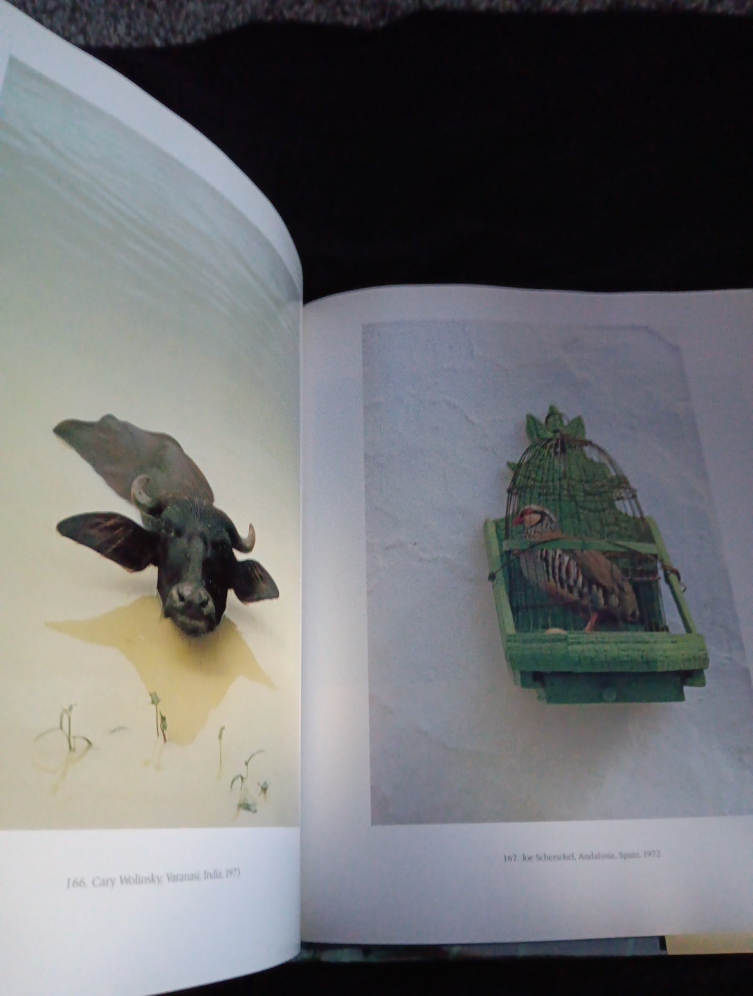 Odyssey : The Art of Photography at National Geographic by Jane Livingston,…