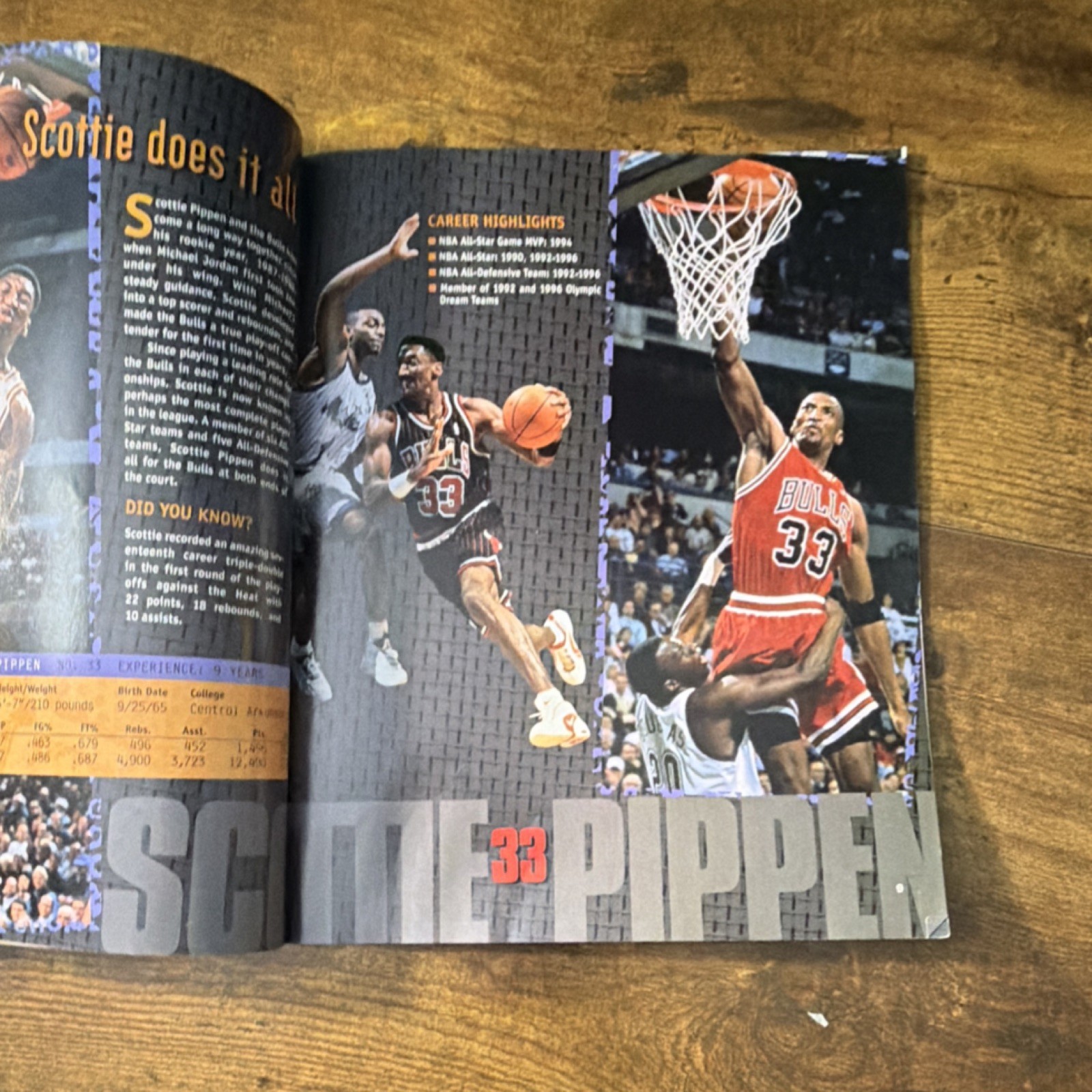 Meet the Chicago Bulls Scholastic Inc. 1990s retro vintage Michael Jordan