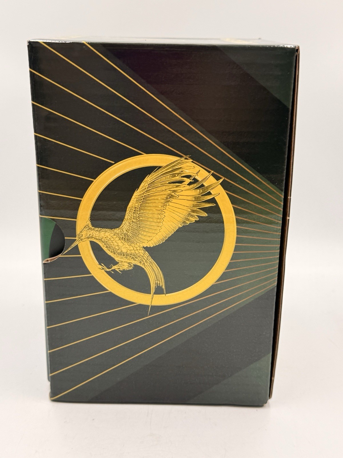 The Hunger Games Four Book Collection Hardcover Box Set by Suzanne Collins