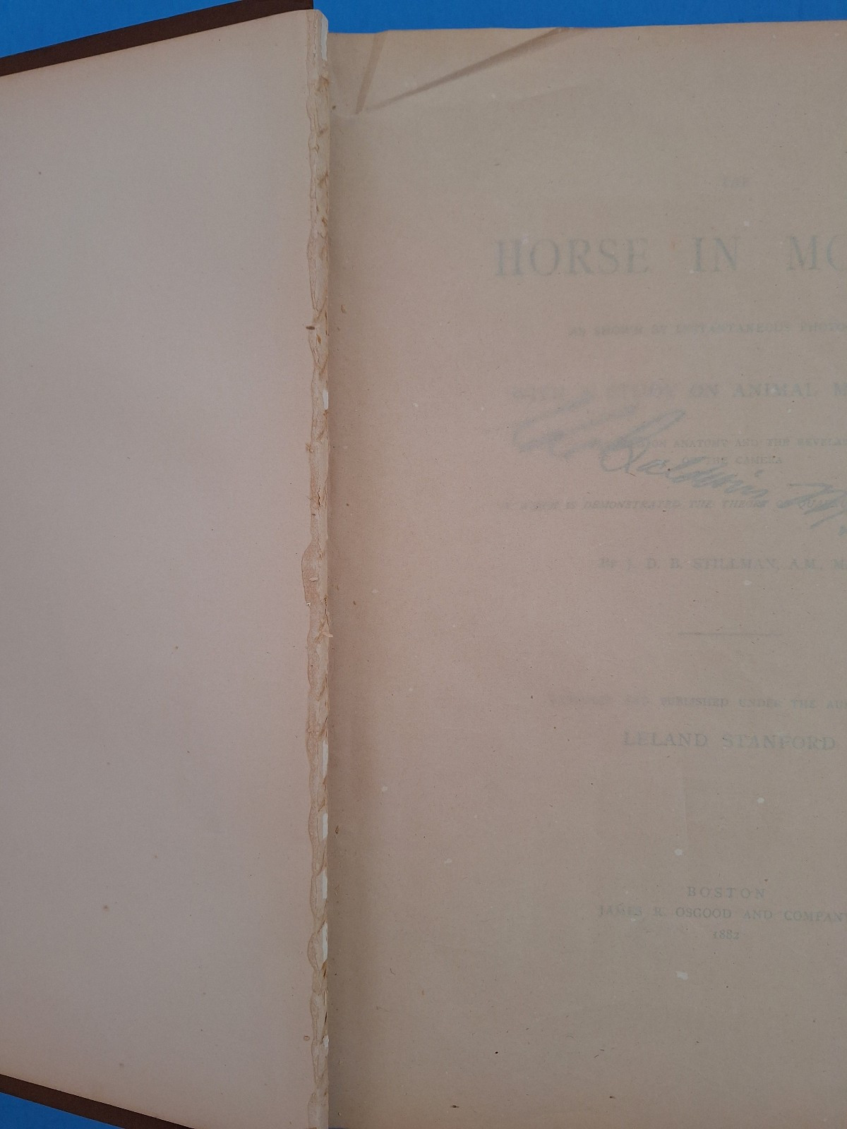 RARE c 1882 THE HORSE IN MOTION by J.D.B. Stillman Photos By Eadweard Muybridge