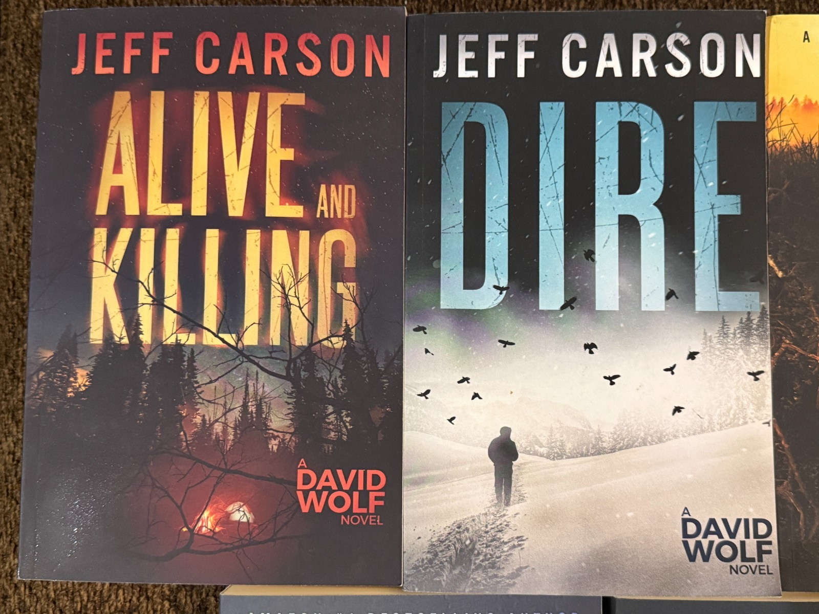 Lot Of 7 David Wolf Series (books 3 8 9 10 11 12 14) By Jeff Carson – paperbacks