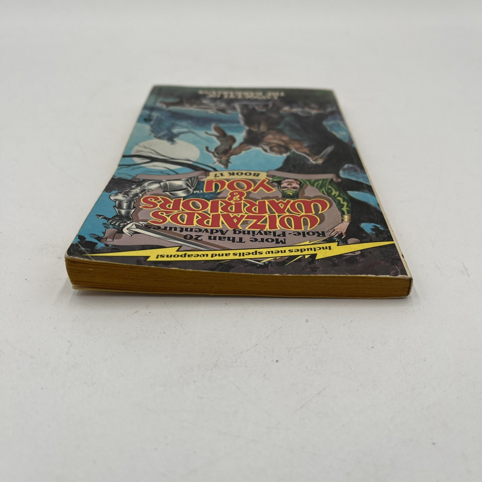 Wizards Warriors & You Book 17 Adventure Paperback Conquest Of The Barbarians