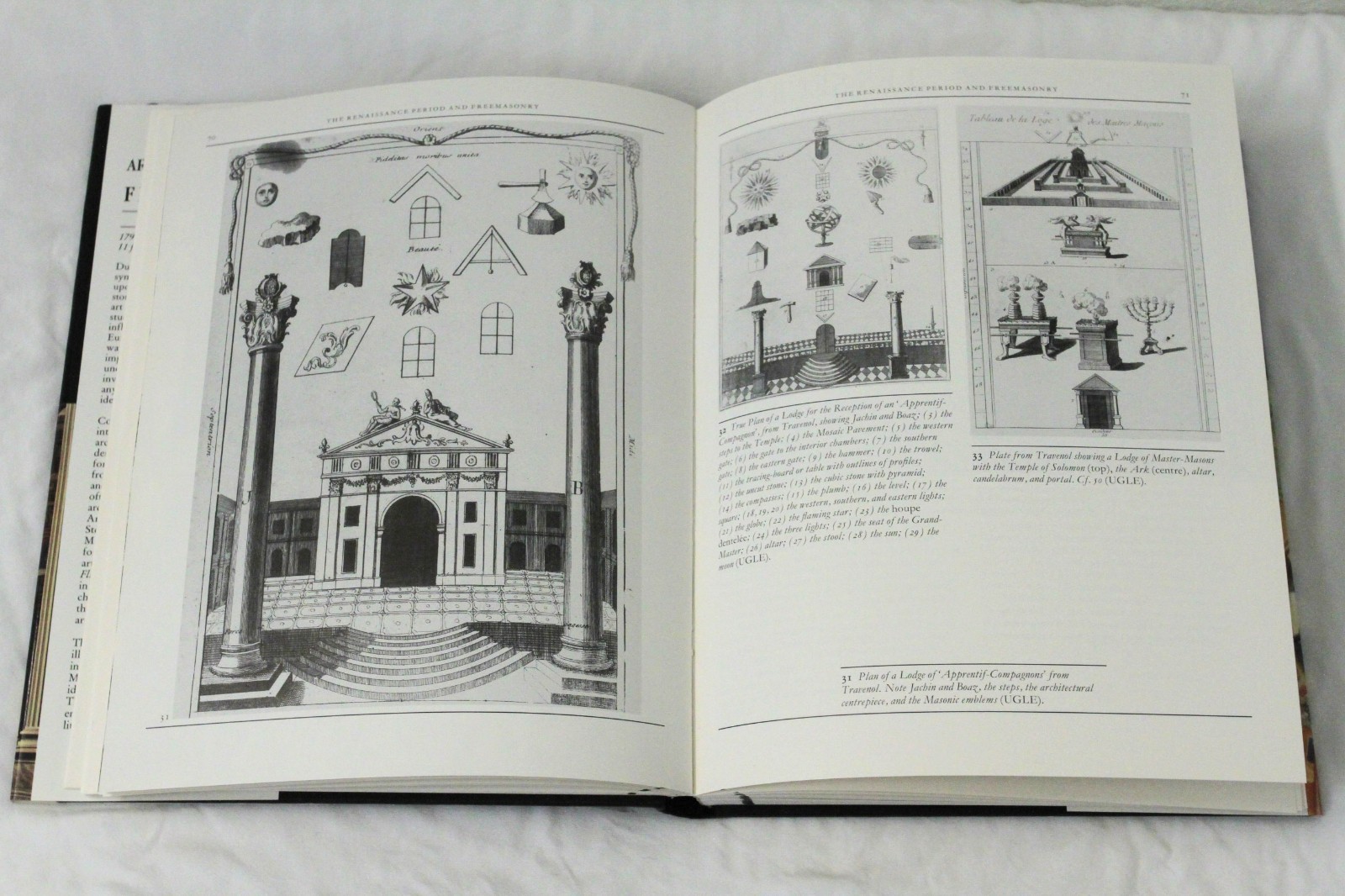 The Art and Architecture of Freemasonry by James Stevens Curl HCDJ 1993 Occult