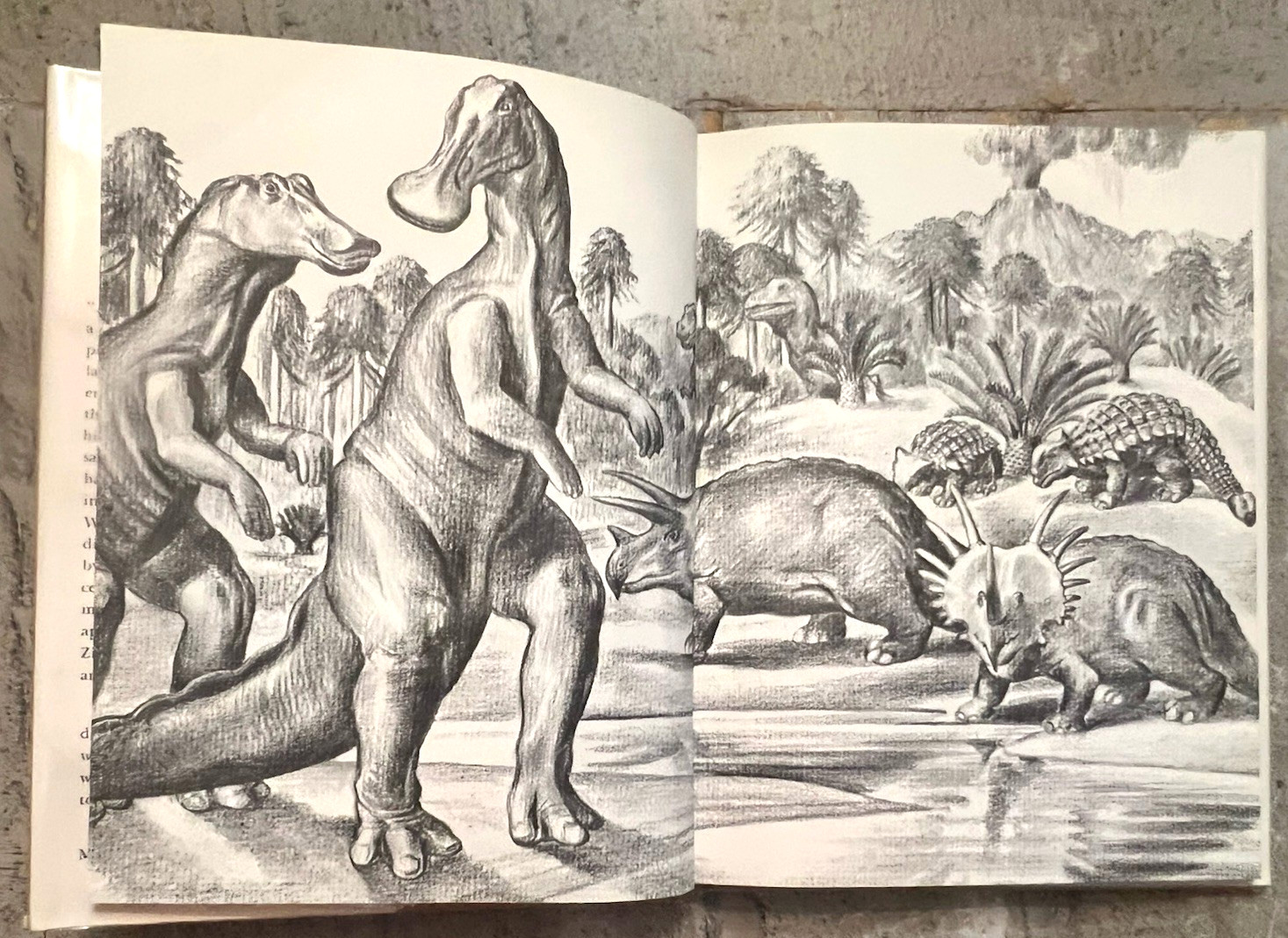 Dinosaurs by Herbert S. Zim Illus. by James Gordon Irving c.1976 Library Edition