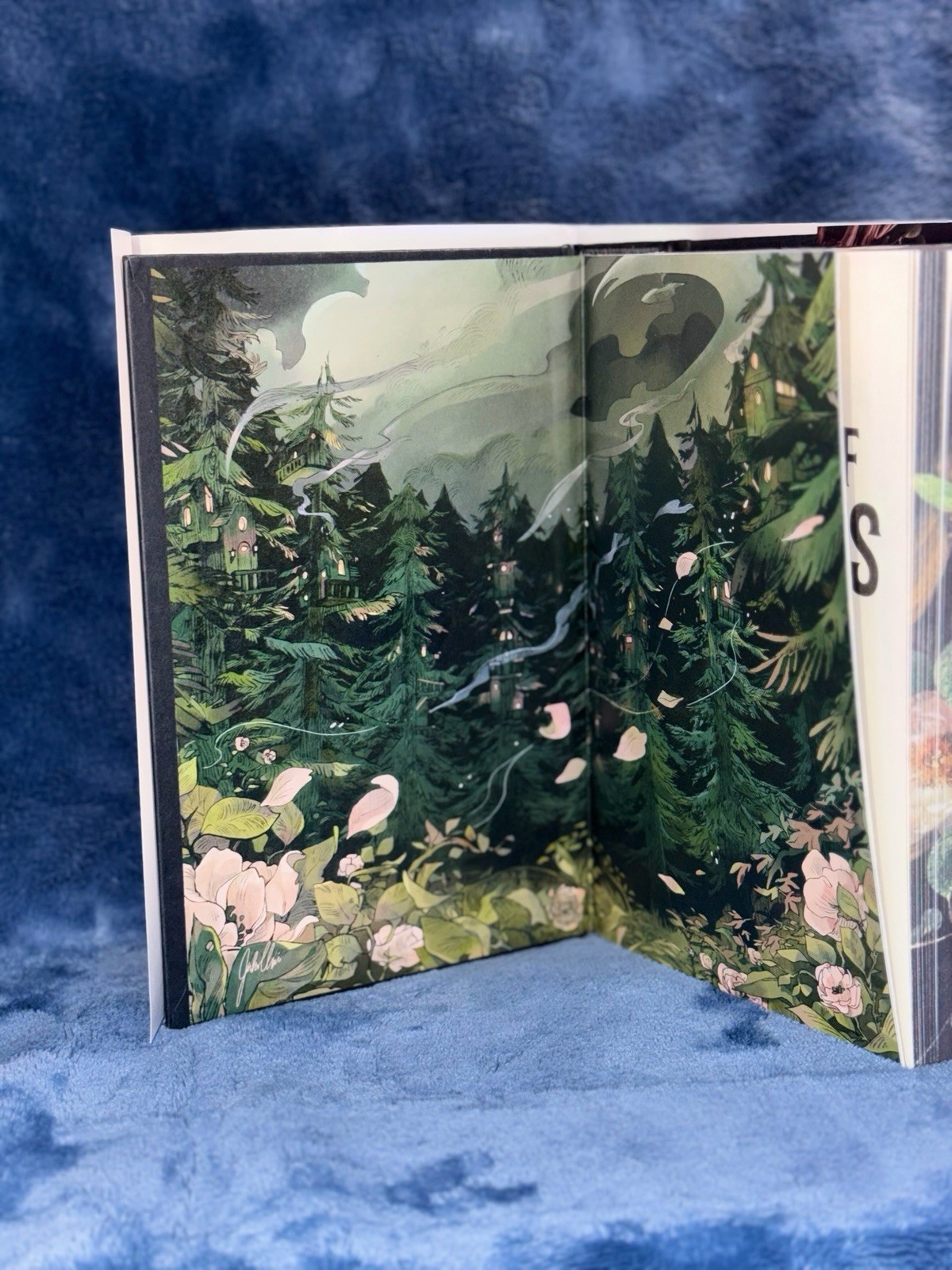 OOP Signed Devney Perry Shield of Sparrows Hardcover (2025) Wal Edition Series