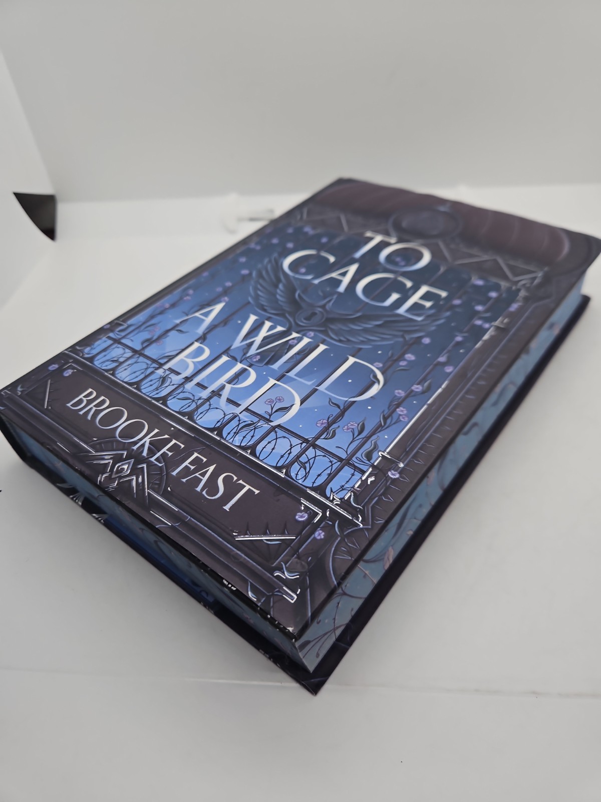 To Cage A Wild Bird Brooke Fast Signed Fairy Loot Exclusive Edition 2025 HCDJ