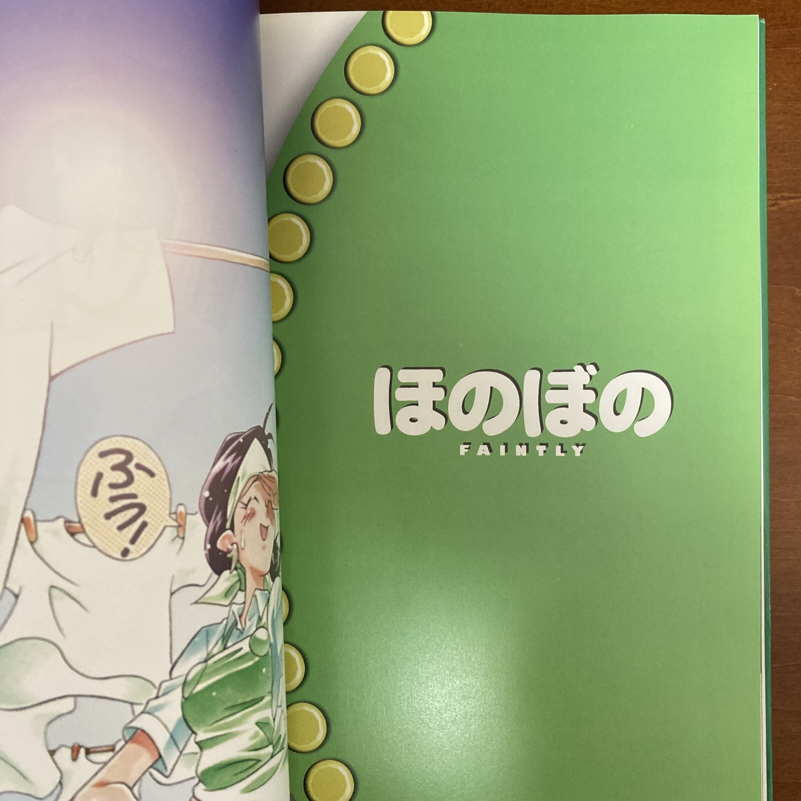 Slayers DRA-MATA Rui Araizumi Art Book Illustration