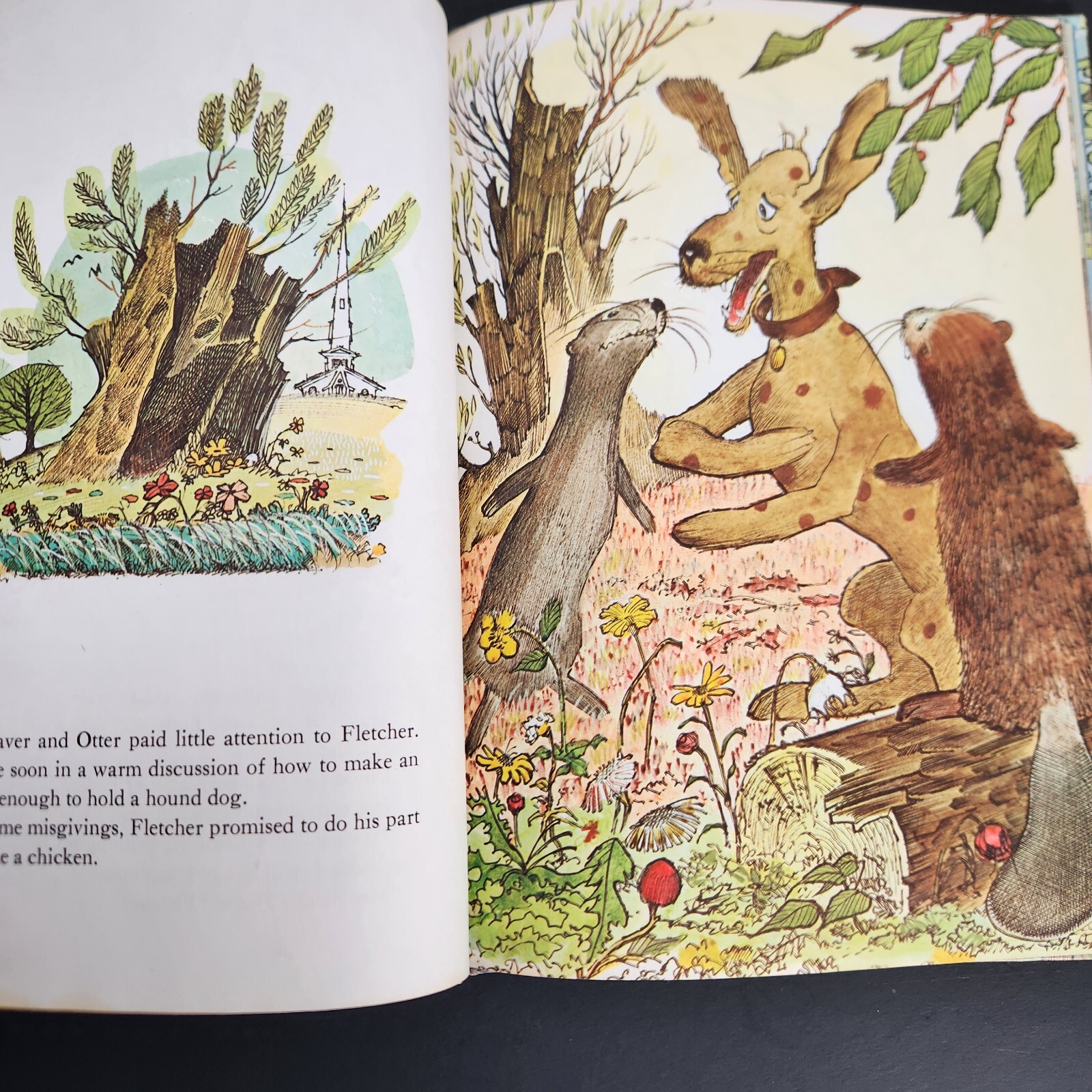 How Fletcher Was Hatched by Wende and Harry Devlin 1969 Parents Magazine Press