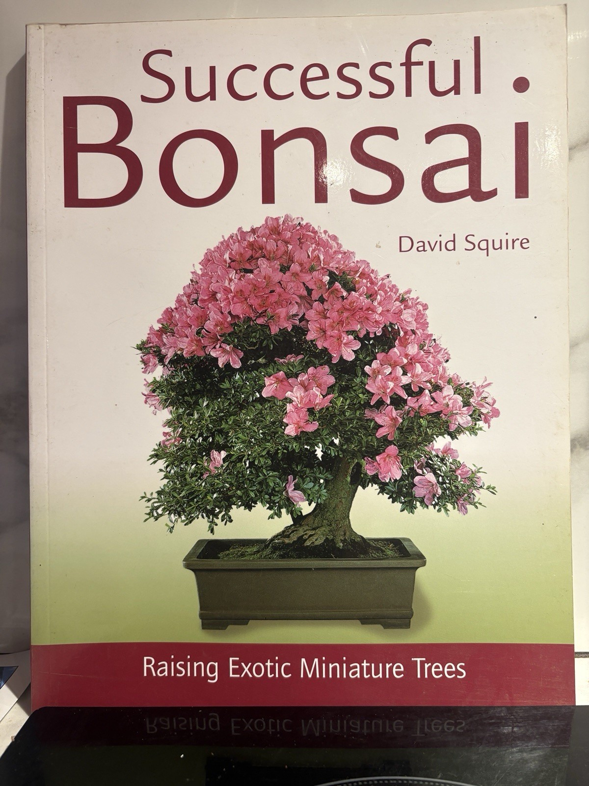 Successful Bonsai, By David Squire
