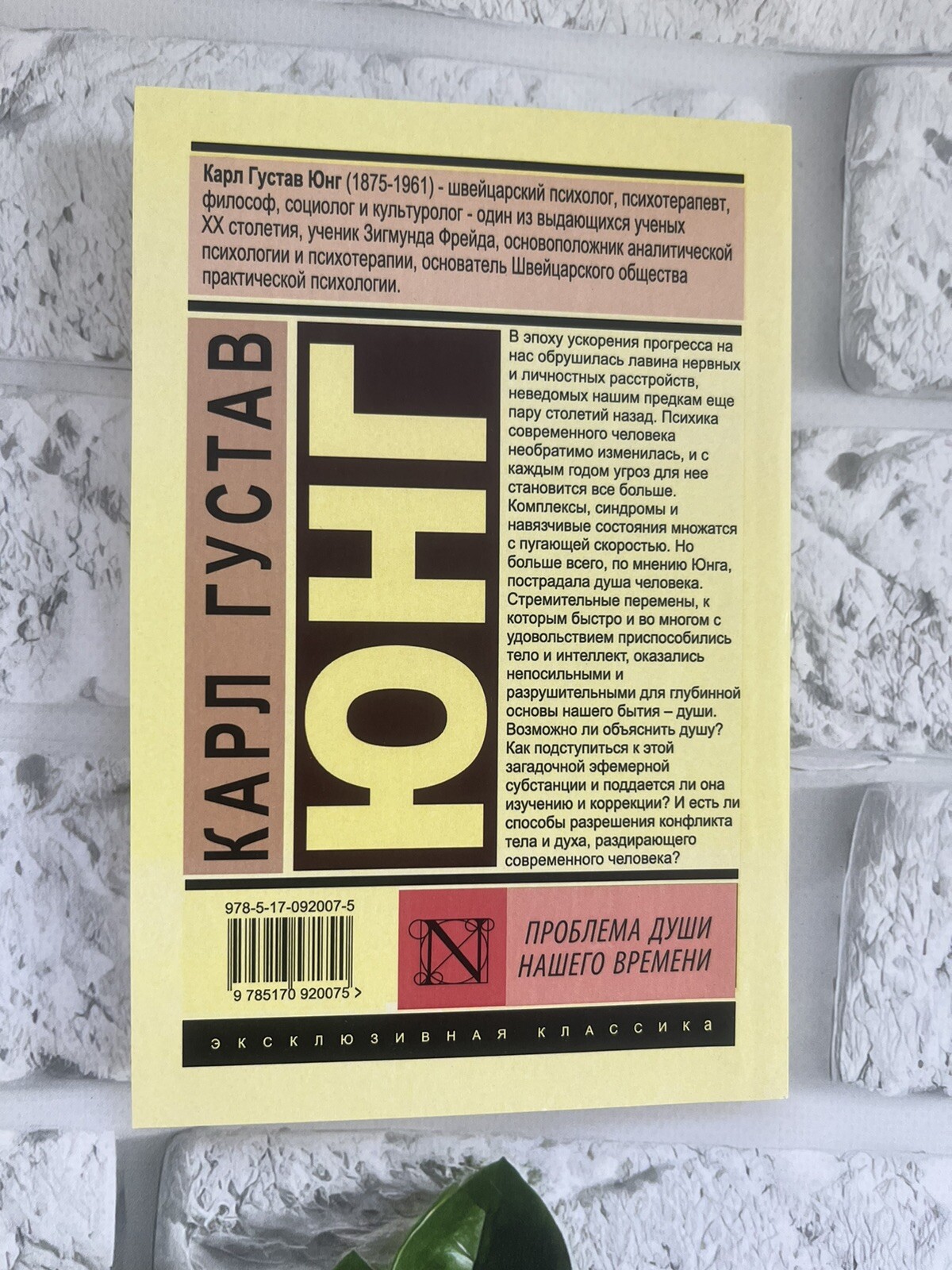 Карл Густав Юнг | Набор Книг 5 шт. Russian book📚