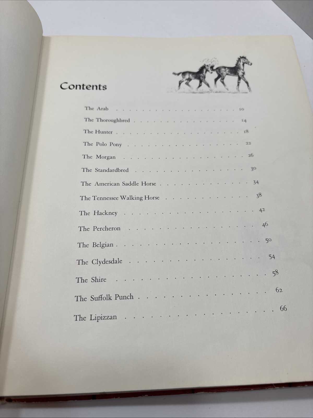 Album of Horses By Marguerite Henry, 1964, Illustr. By Wesley Dennis; HC, CB