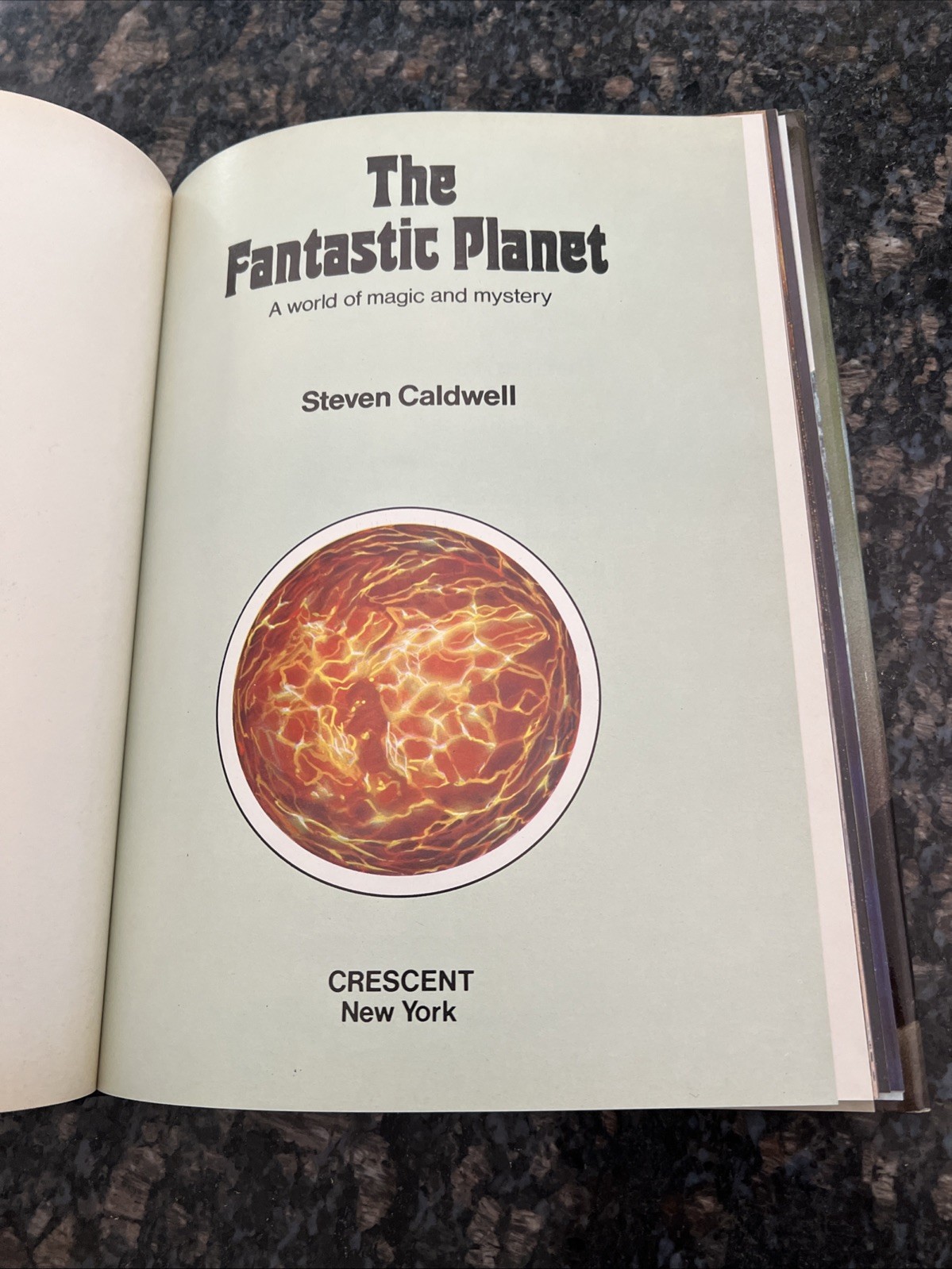 The Fantastic Planet : A world of Magic and Mystery By Steven Caldwell HB/DJ