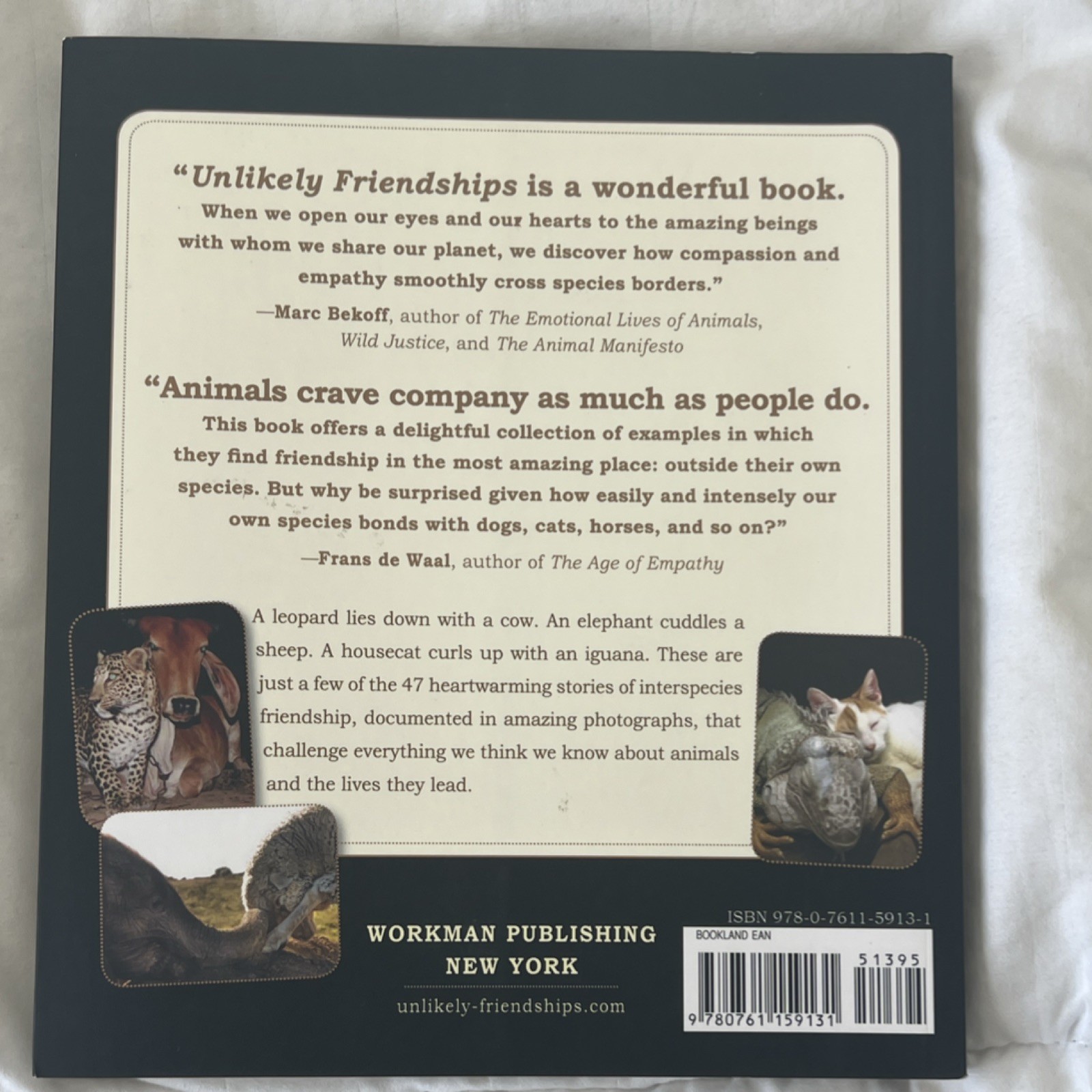 Unlikely Friendships by Jennifer S. Holland Paperback Nature Animals Illustrated