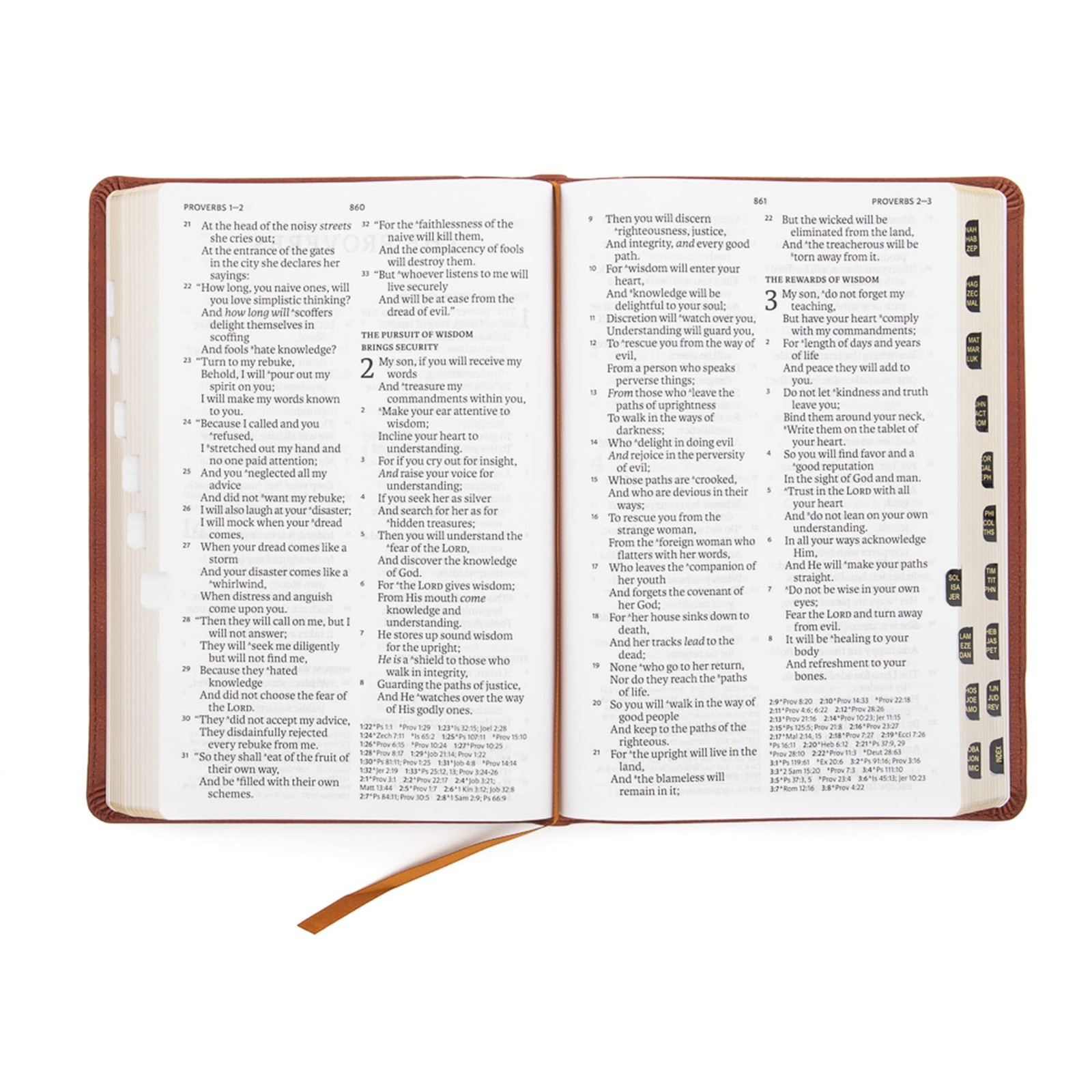 Reference Bible Super Giant Print Burnt Sienna LeatherTouch Indexed