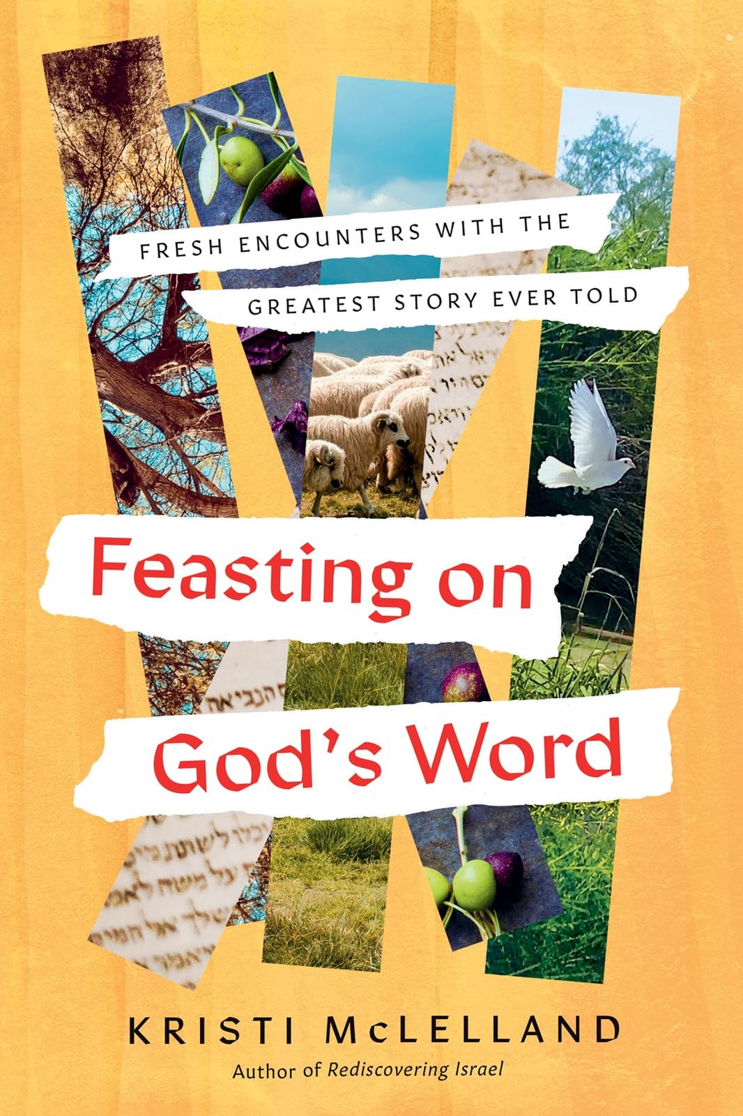 Feasting on God’s Word: Fresh Encounters with the Greatest Sto…