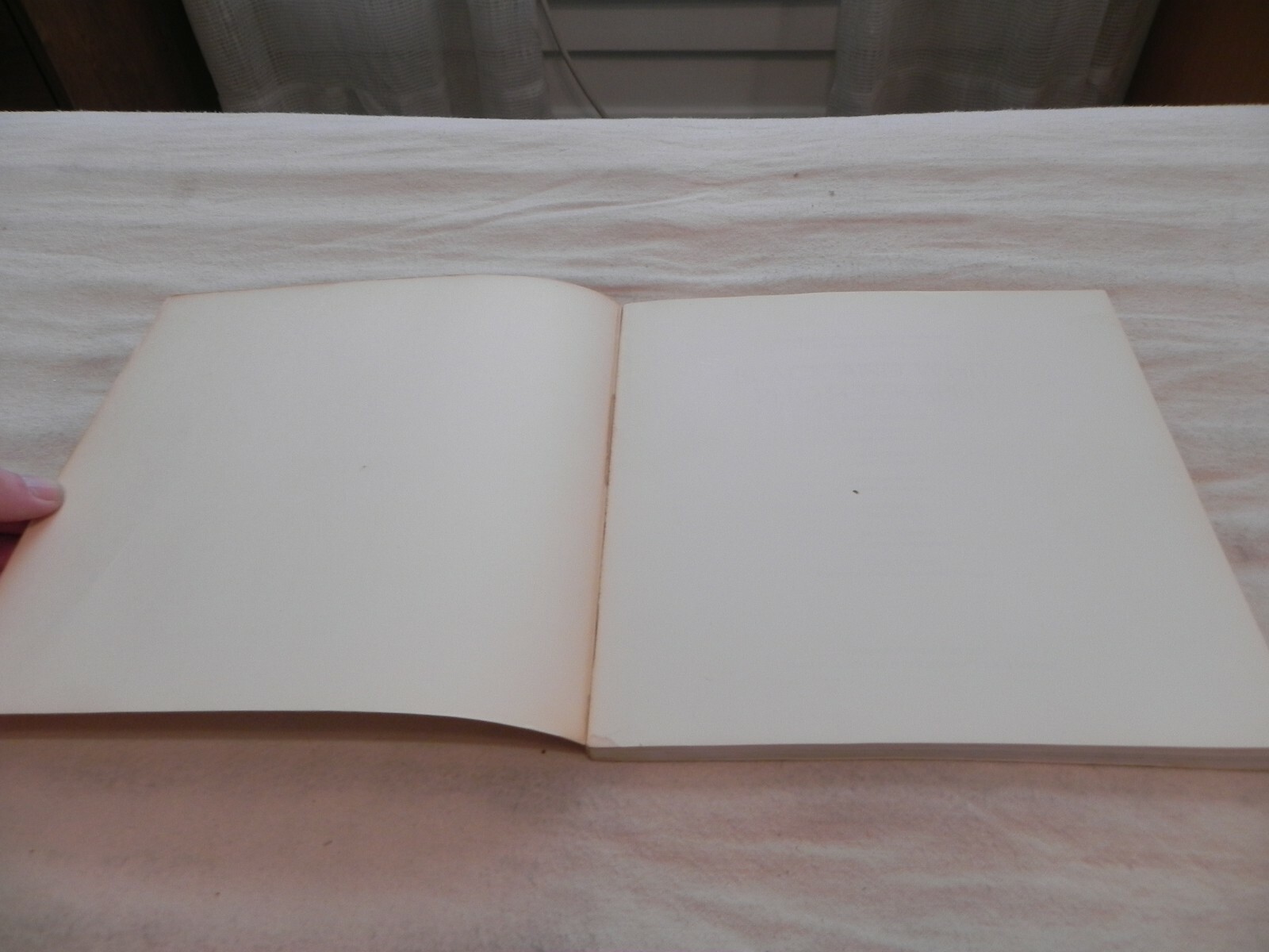 Black & White, Photo Graphy, A Basic Manual By Henry Horenstein, 1974