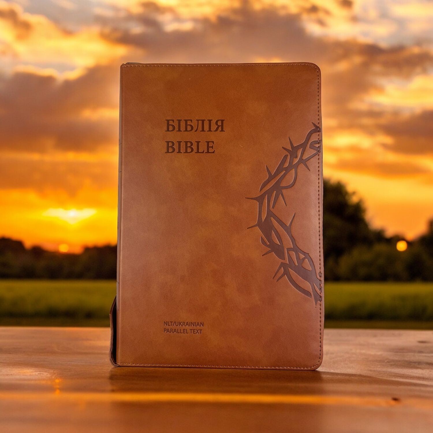 Ukrainian-English Bible parallel text NLT/Ogienka – Українсько-Англійська Біблія