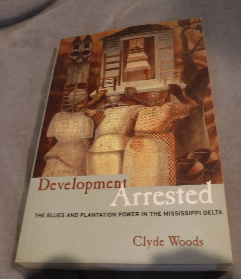 Development Arrested : The Blues & Plantation Power in the Mississippi BY Woods