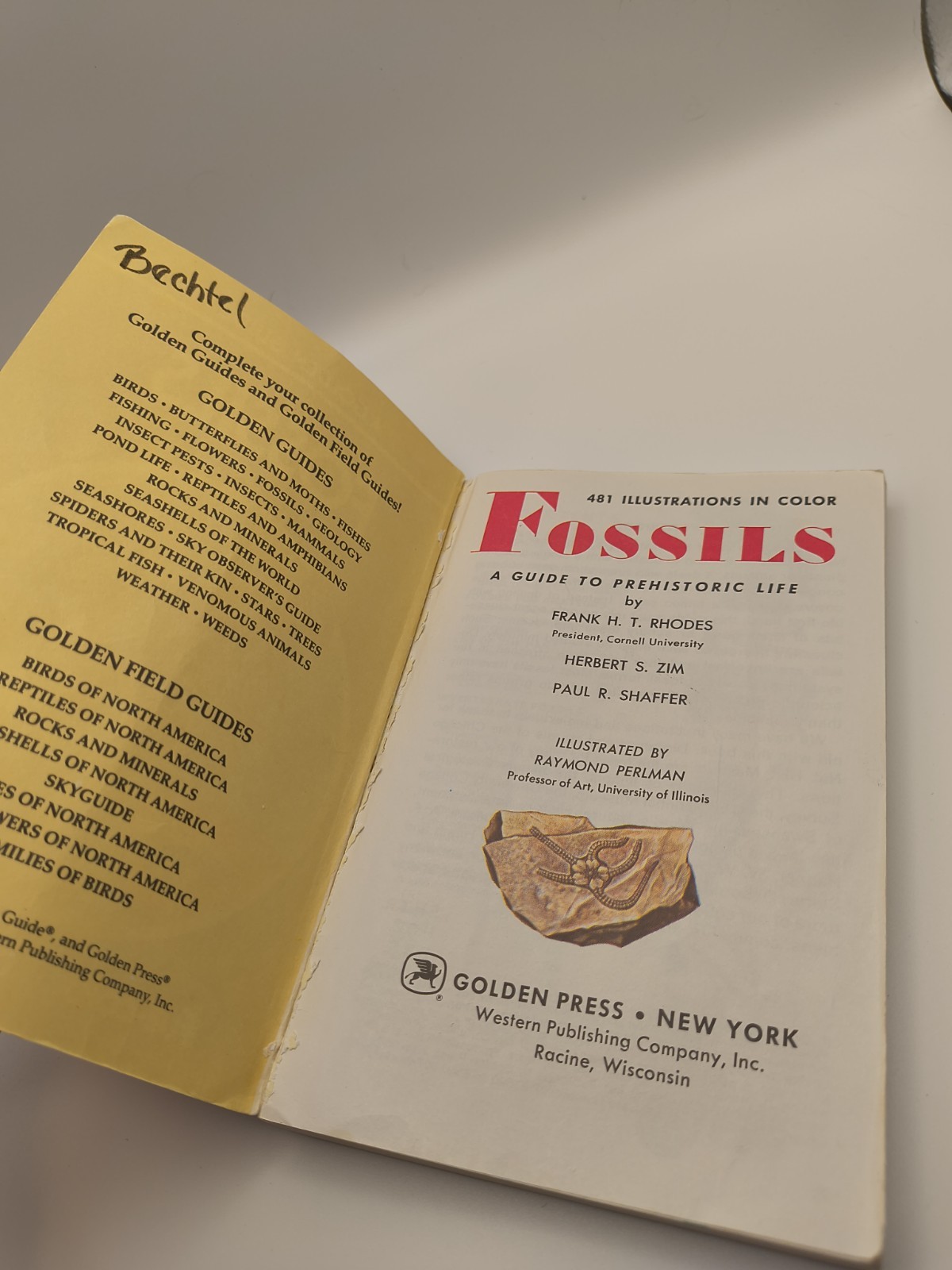 Fossils A Guide To Prehistoric Life A Golden Nature Guide Vintage 1962 Dinosaurs